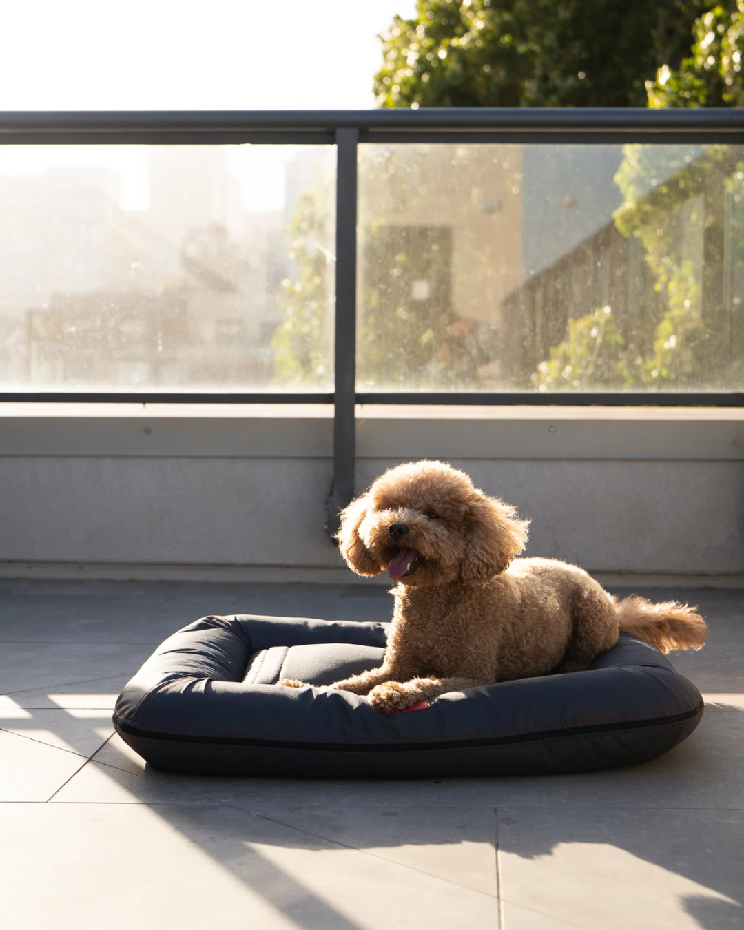 Purrfect Kingdom™ - Gray Orthopedic Pet Lounger
