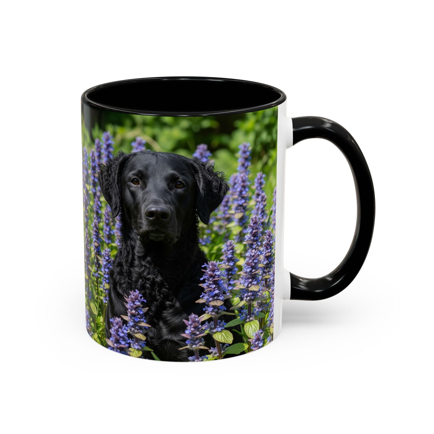 Curly Coated Retriever Accent Coffee Mug - Perfect Gift for