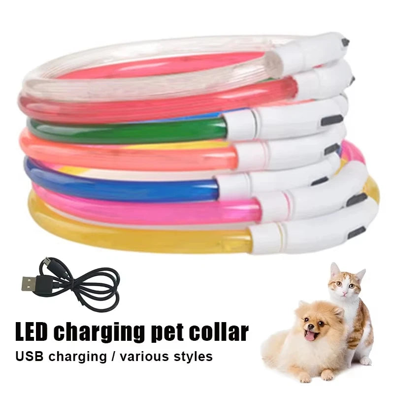 Night walk dog USB charging Light dog collar Led night light battery dog loss prevention puppy cat collar