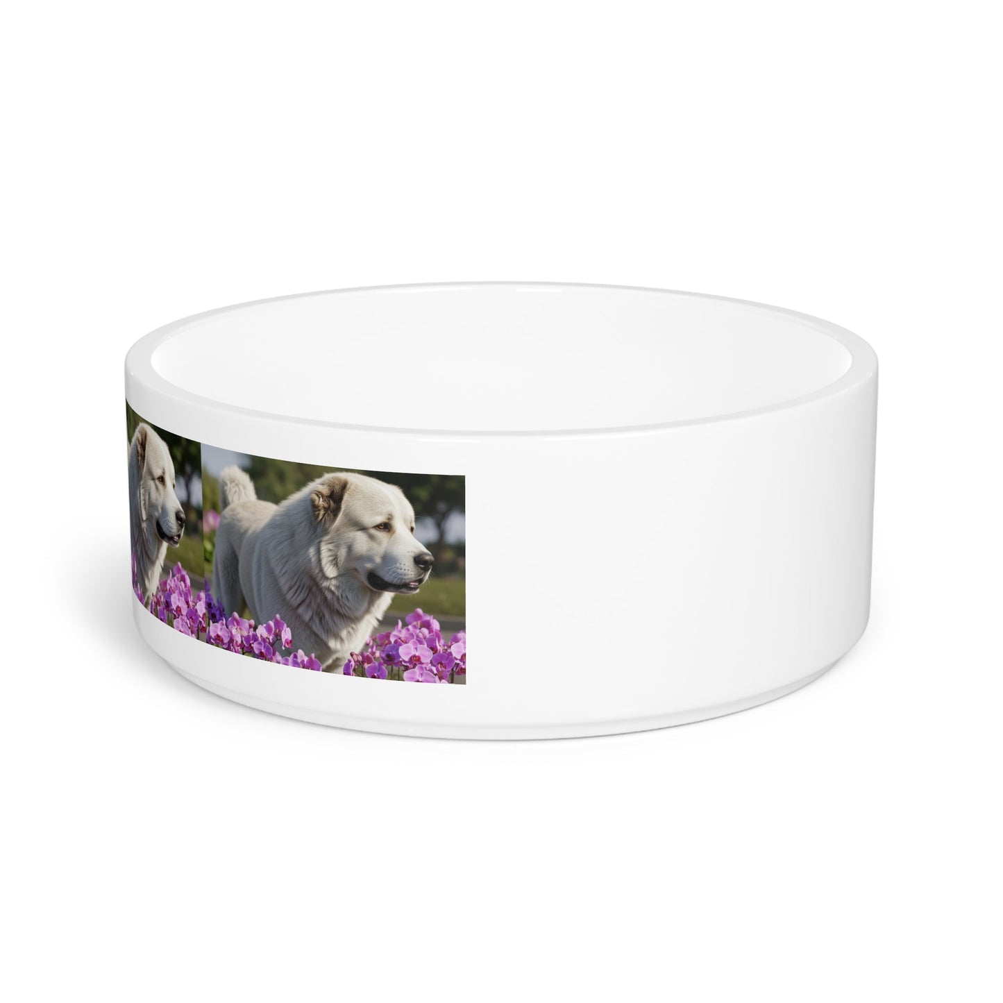 Caucasian Shepherd Dog Pet Bowl