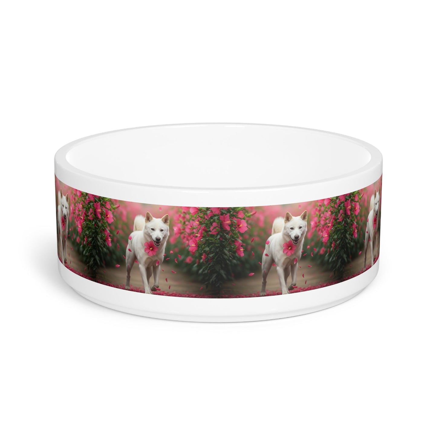 Korean Jindo Dog Pet Bowl