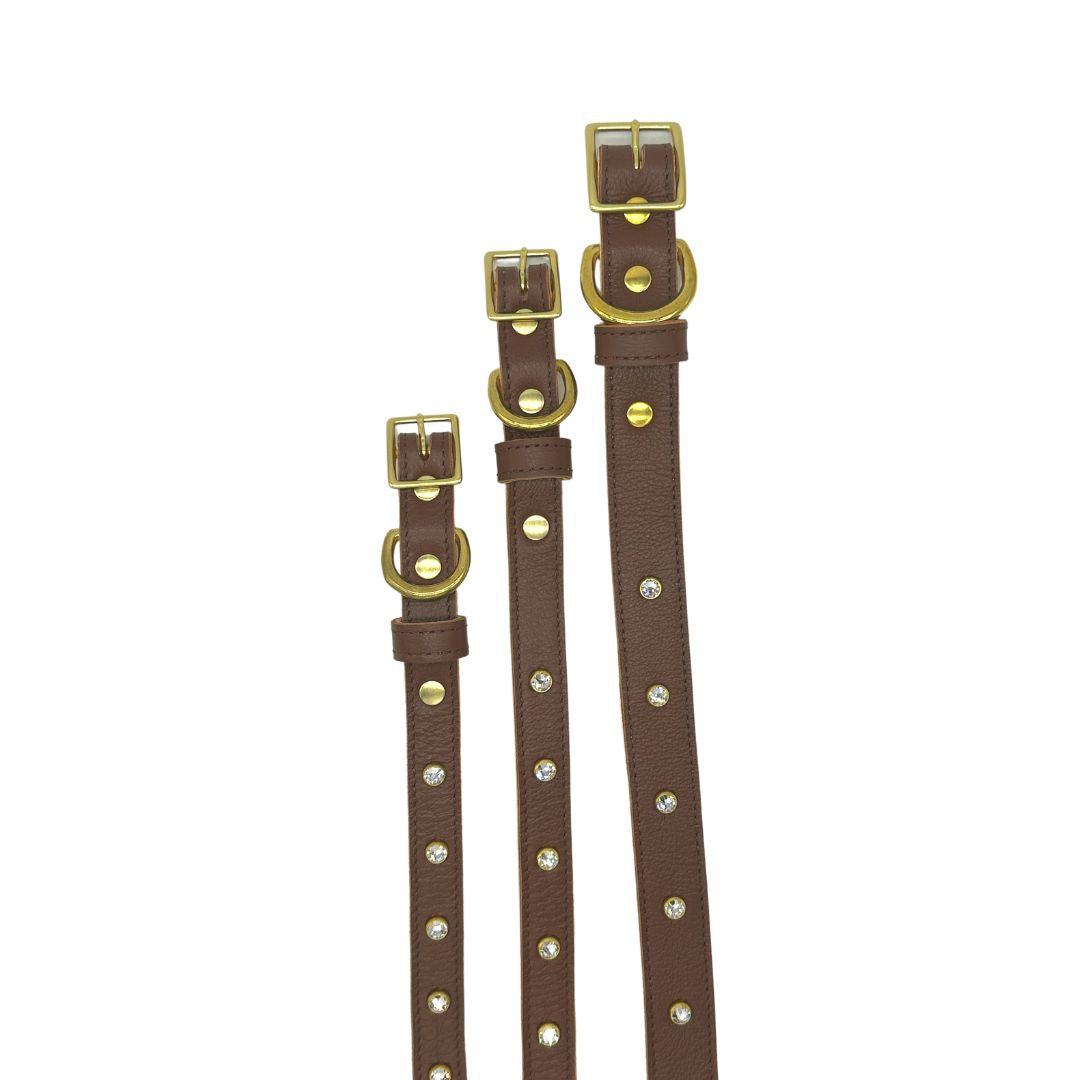 Plain Leather Dog Collar | Purrfect Pet Kingdom