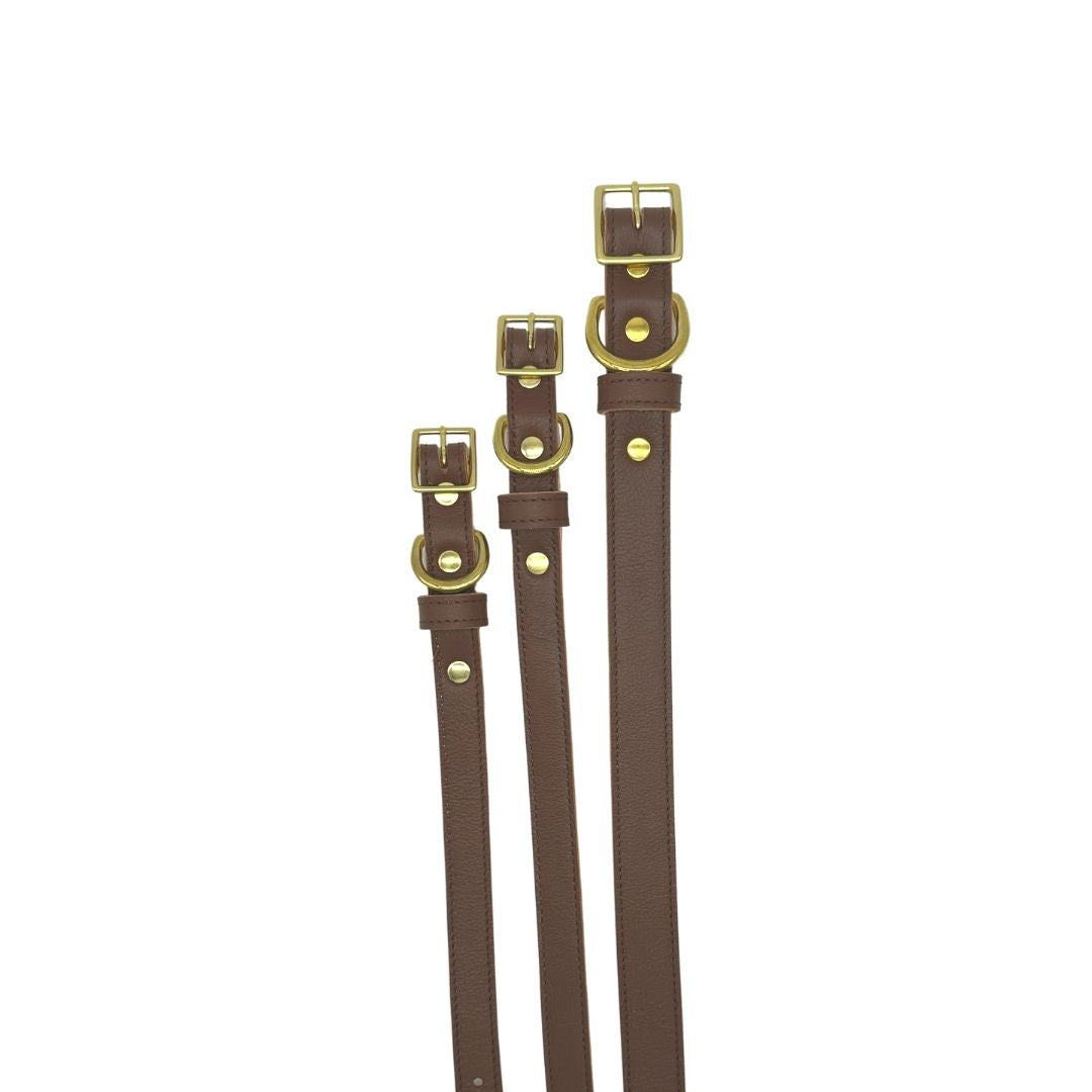 Plain Leather Dog Collar | Purrfect Pet Kingdom