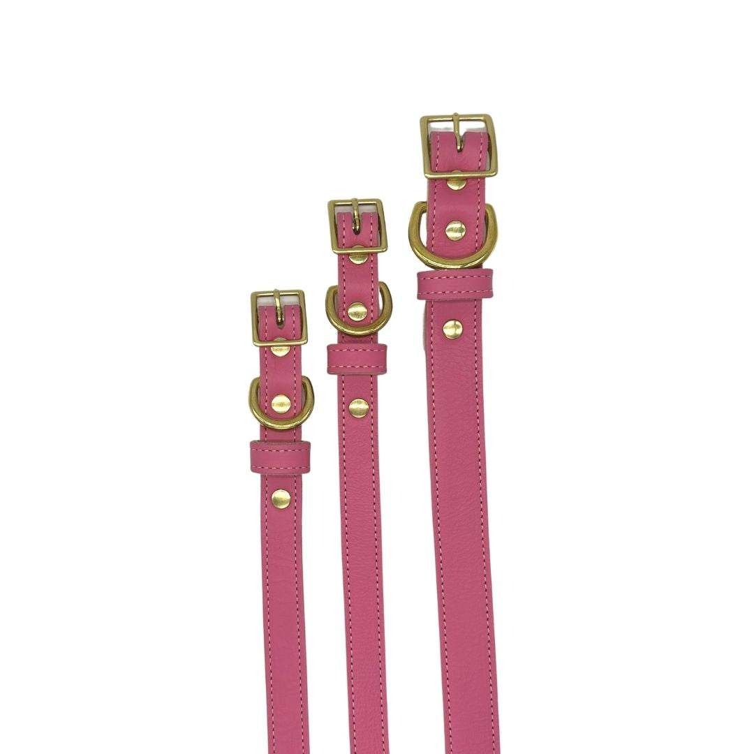 Plain Leather Dog Collar | Purrfect Pet Kingdom