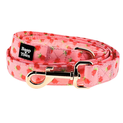 Dog Leash Cotton 5ft Comfortable Durable 4.9oz 🐕