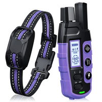 Dog Training Collar – Waterproof with Remote Shock &
