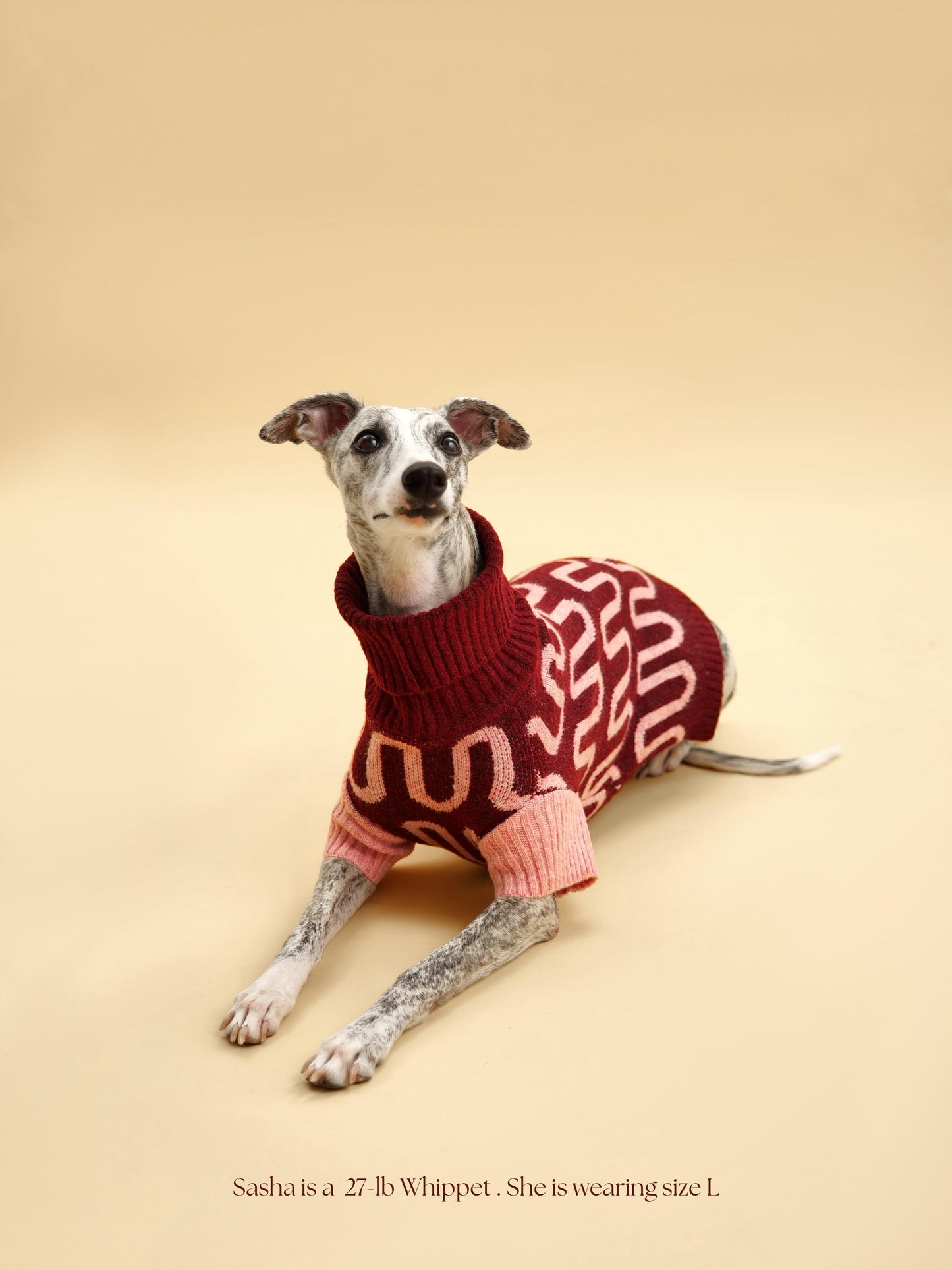 Rosé Bliss Sweater - Dog Sweater - BarkBarkBaby