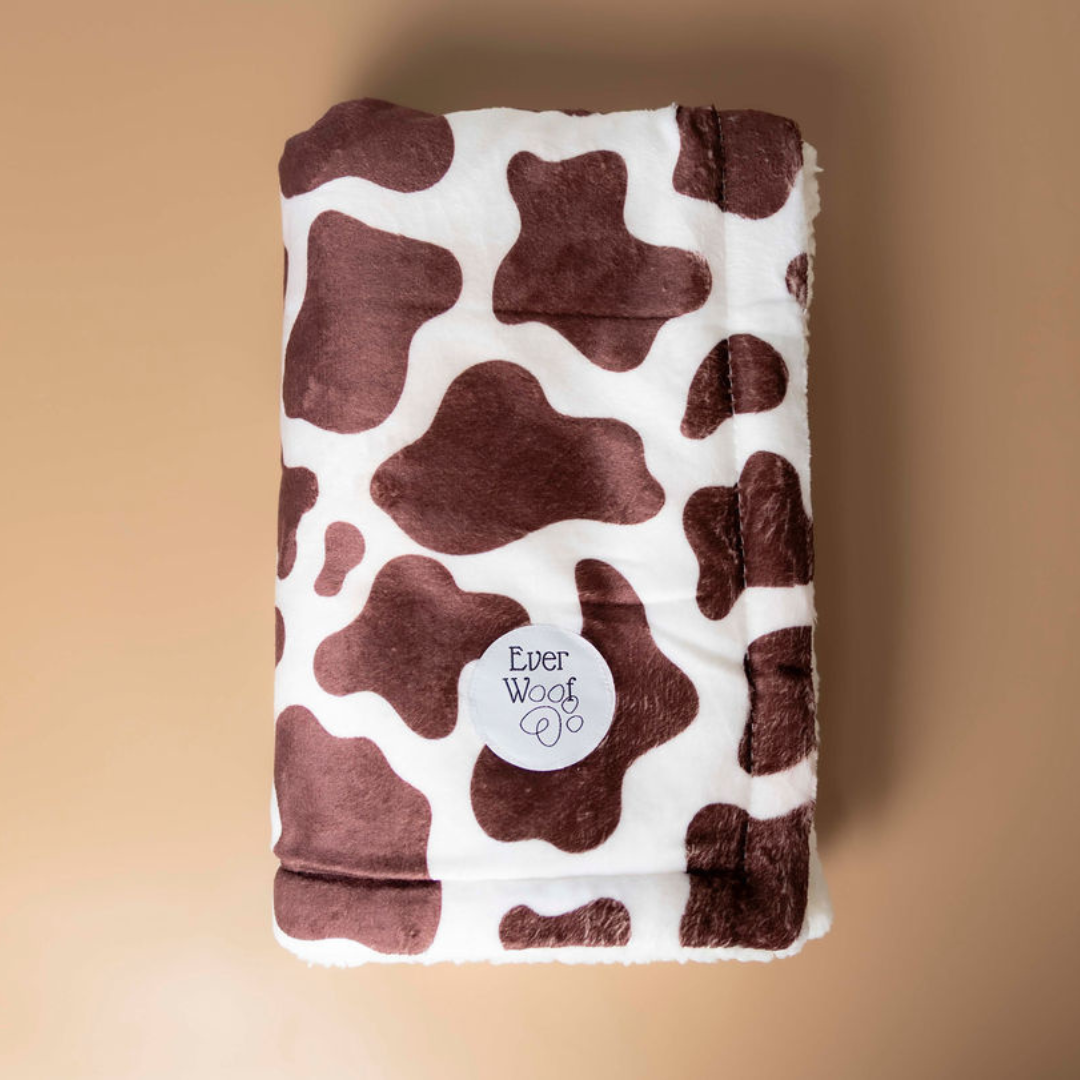 Chocolate Cow Dog Blanket