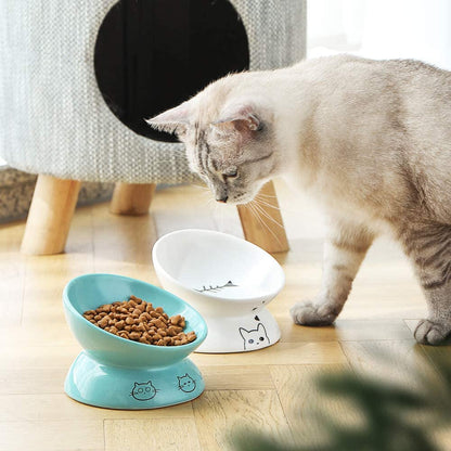 Cat Bowl Ceramic Raised Elevated Tilted Angle 🐱