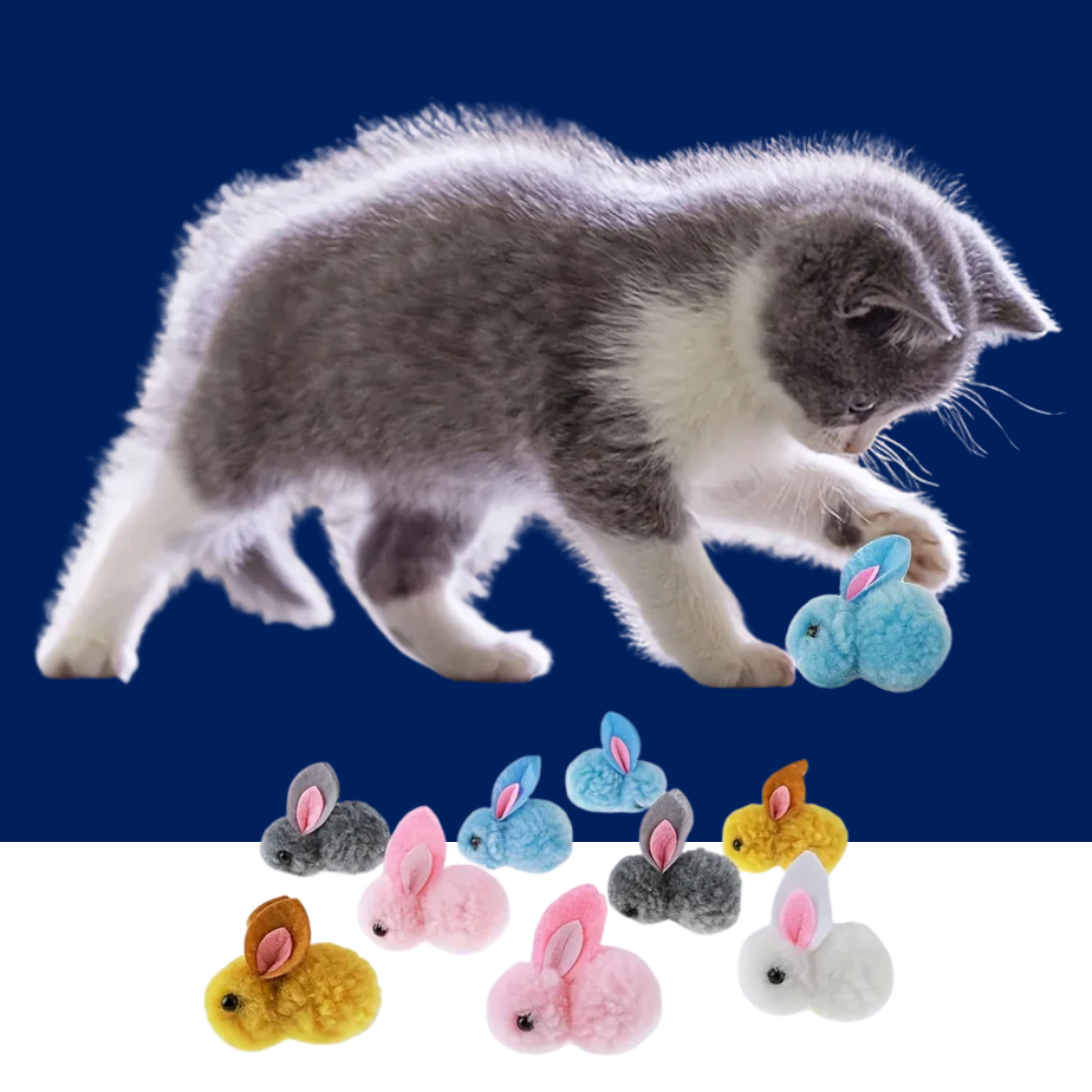 Cat Toy Plush Bunny Balls 10 Pack