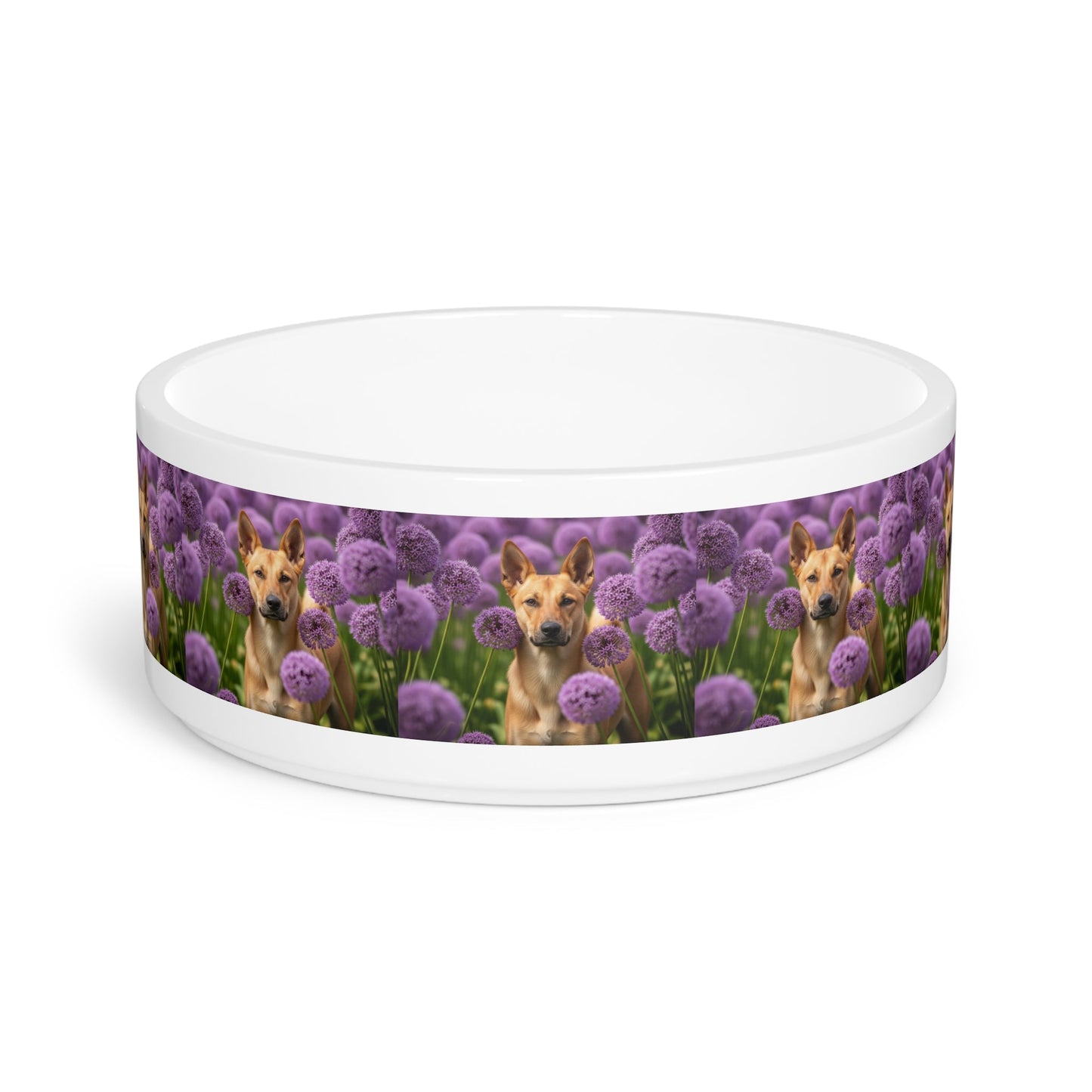 Canaan Dog Pet Bowl