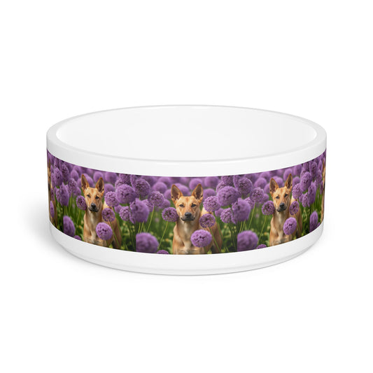 Canaan Dog Pet Bowl