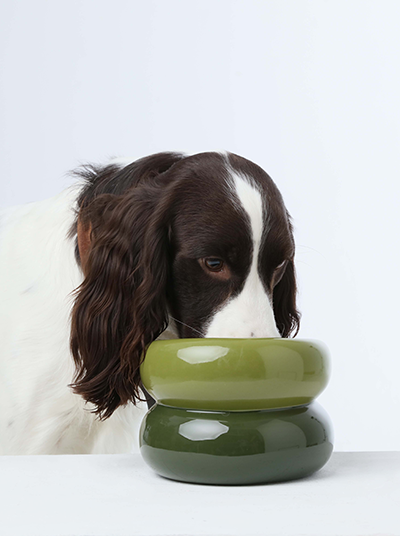 Elevated Ceramic Pet Bowl Ergonomic Dining for Small Cats