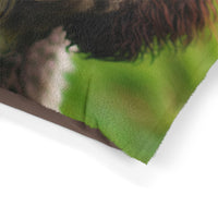 Spanish Water Dog Pet Bed