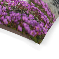 Canadian Eskimo Dog Pet Bed