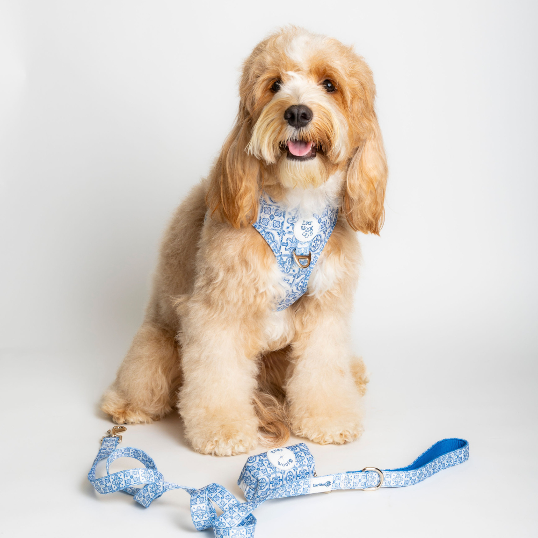 Pet Harness Harness Santorini Adjustable Harness for Comfort - size and texture image for pet harness