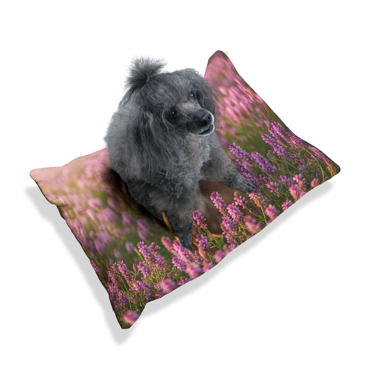 Cirneco dell’Etna Pet Bed