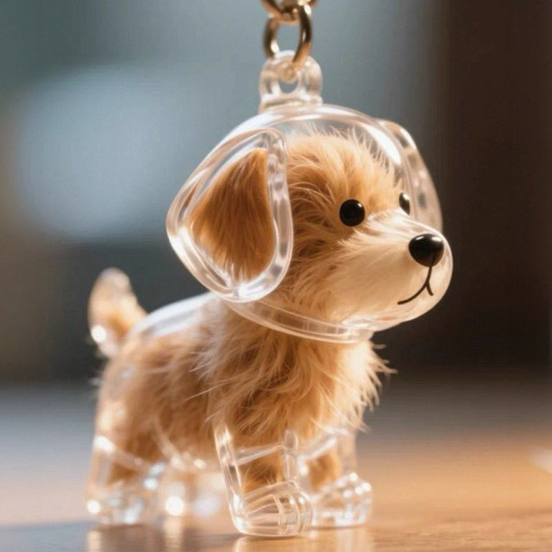 A transparent DIY pet hair memorial keychain box, a sweet keepsake for dog lovers.