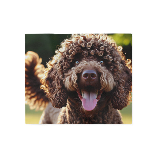 Curly Coated Retriever Sweatshirt Blanket