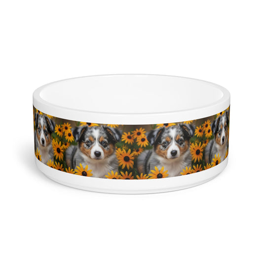 Miniature American Shepherd Dog Pet Bowl