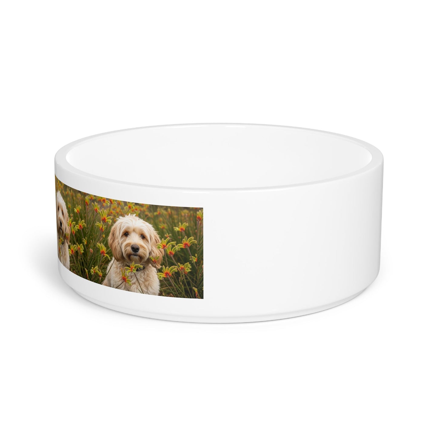 Cavoodle Dog Pet Bowl