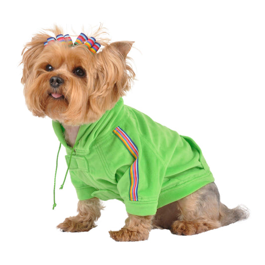 Velour Dog Hoodie - Lime Green