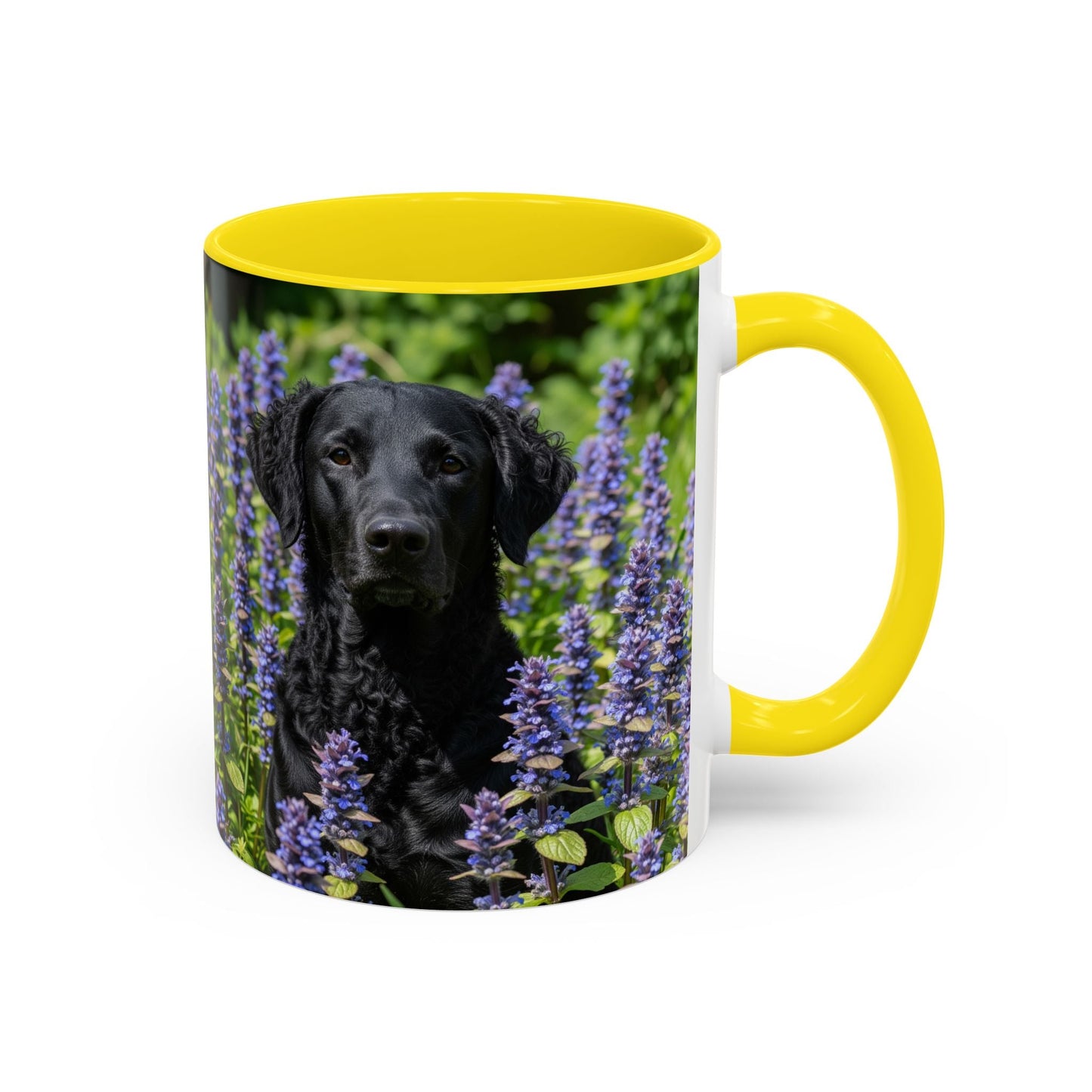 Curly Coated Retriever Accent Coffee Mug - Perfect Gift for