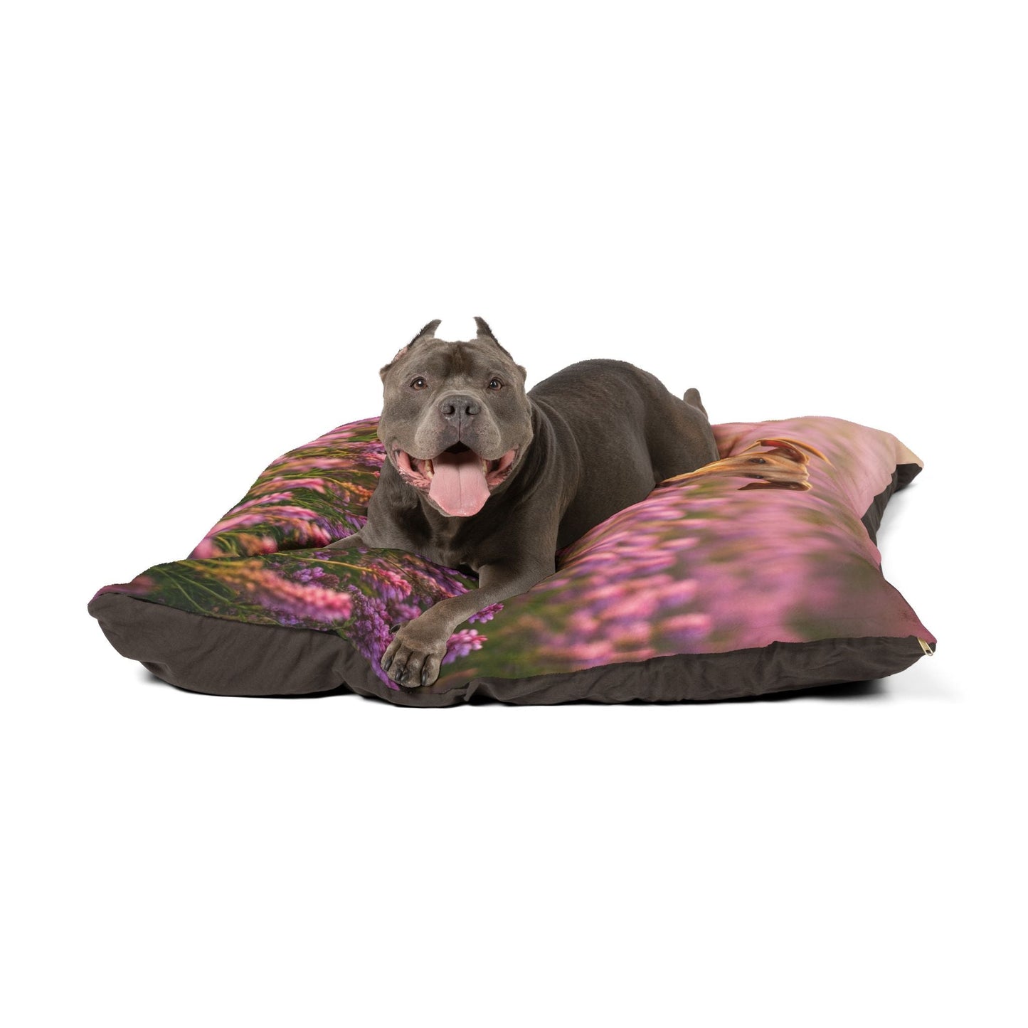 Cirneco dell’Etna Pet Bed