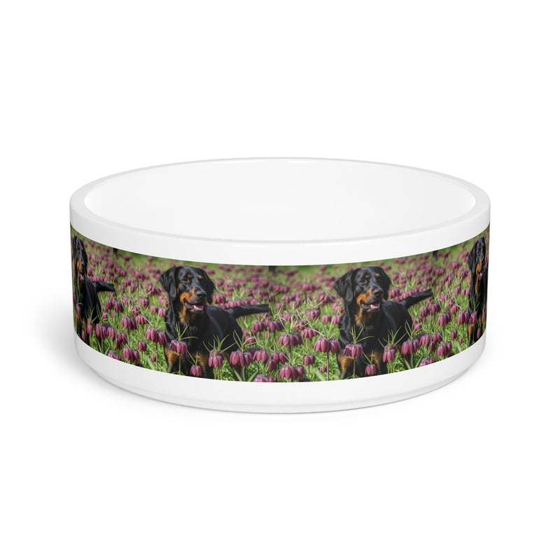 Wetterhoun Pet Bowl