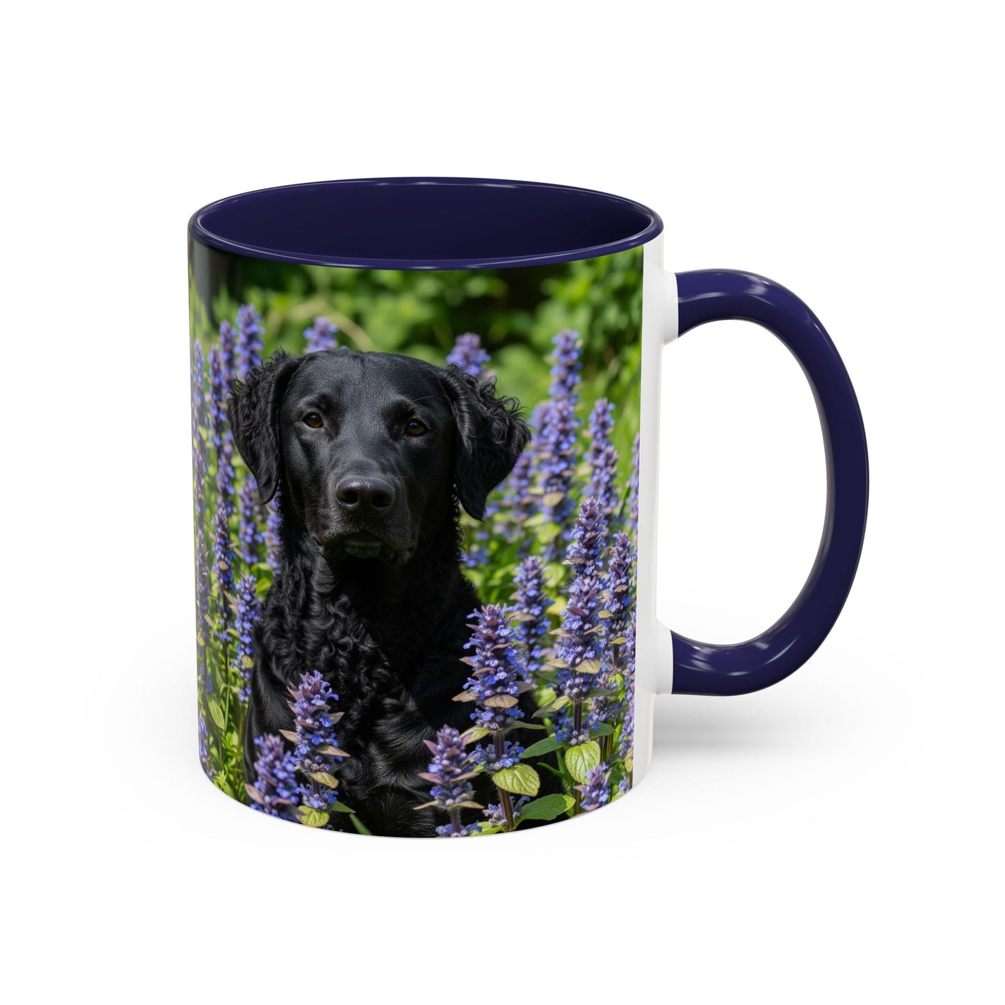 Curly Coated Retriever Accent Coffee Mug - Perfect Gift for