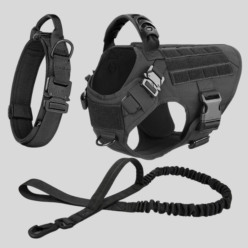 Large Dog Harness & Leash Set – Training Vest for Big Breeds - WTN Essentials