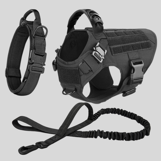 Large Dog Harness & Leash Set – Training Vest for Big Breeds - WTN Essentials