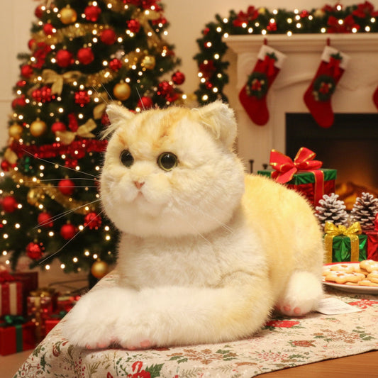 Golden Brtitish Short Hair Cat Plush – Weighted Emotional Support Toy Gift