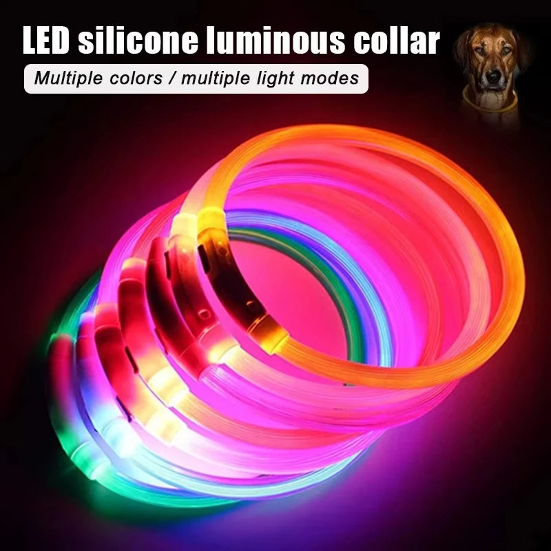 Night walk dog USB charging Light dog collar Led night light battery dog loss prevention puppy cat collar