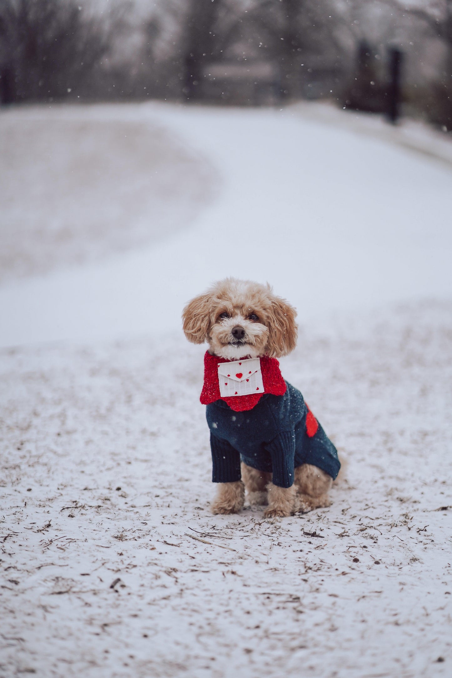 Love Note Reversible Handmade Bandana - BarkBarkBaby