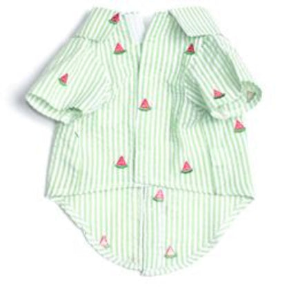 Green Stripe Watermelon Collared Dog Shirt