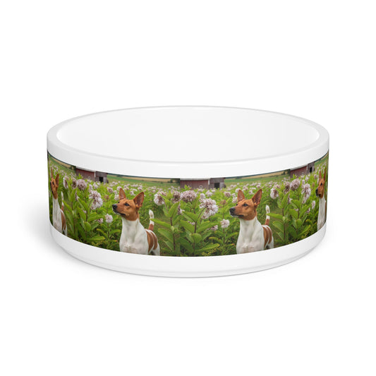 Rat Terrier Pet Bowl