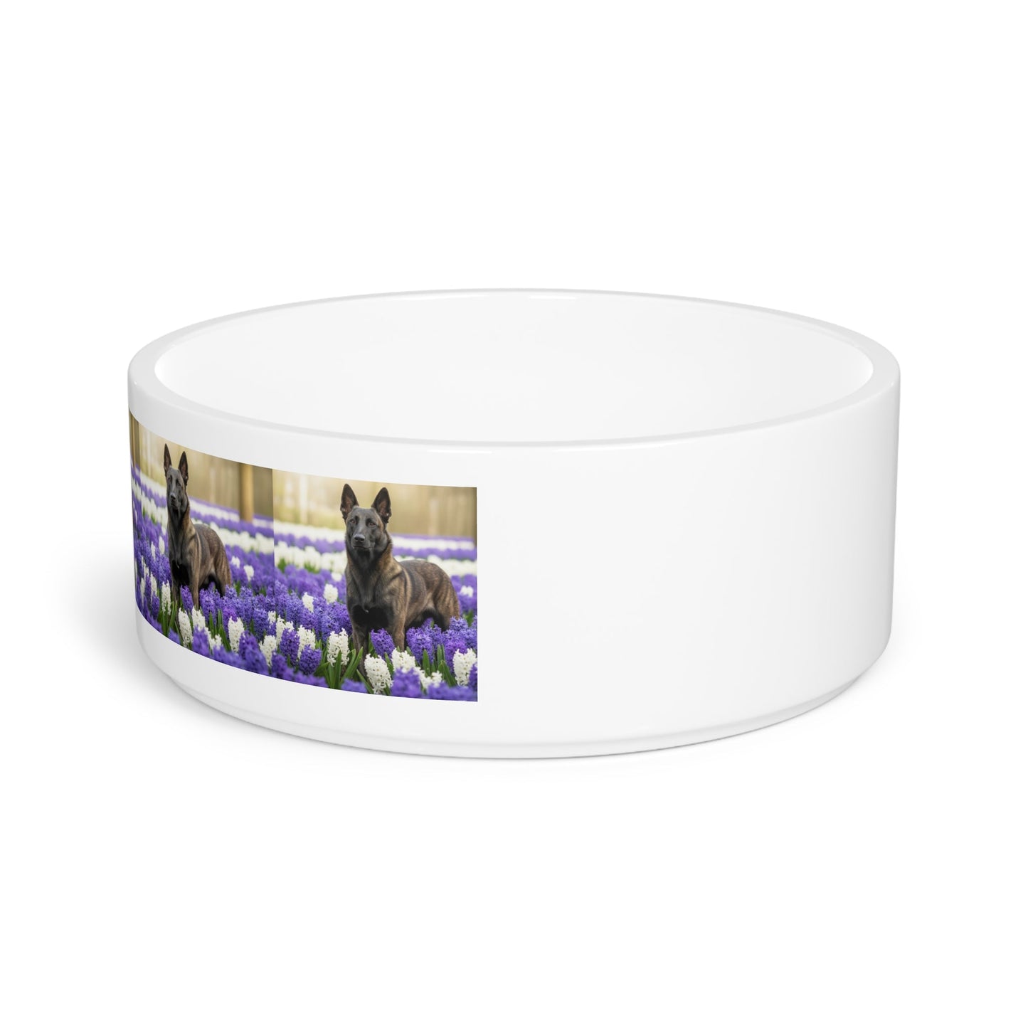 Dutch Shepherd Dog Pet Bowl