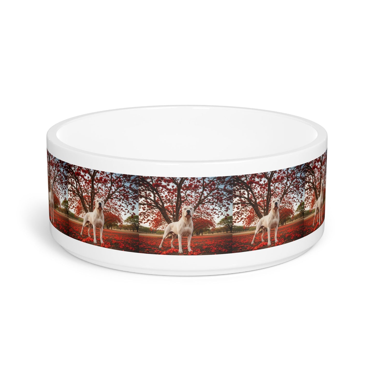 Dogo Argentino Pet Bowl