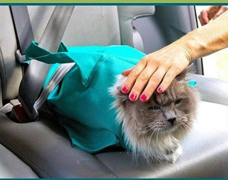 Pet Sling Carrier Shoulder Bag