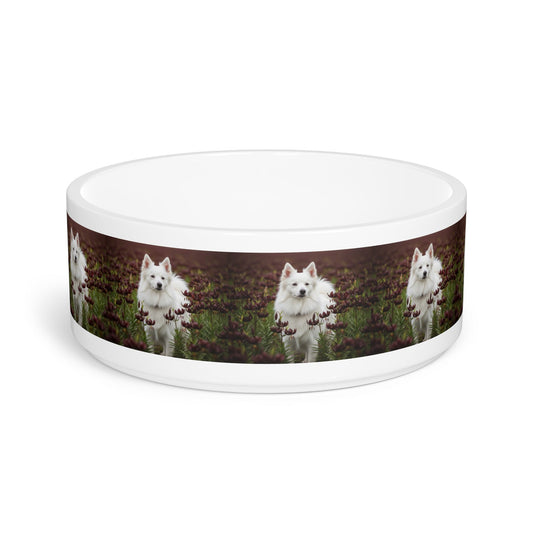 American Eskimo Dog Pet Bowl