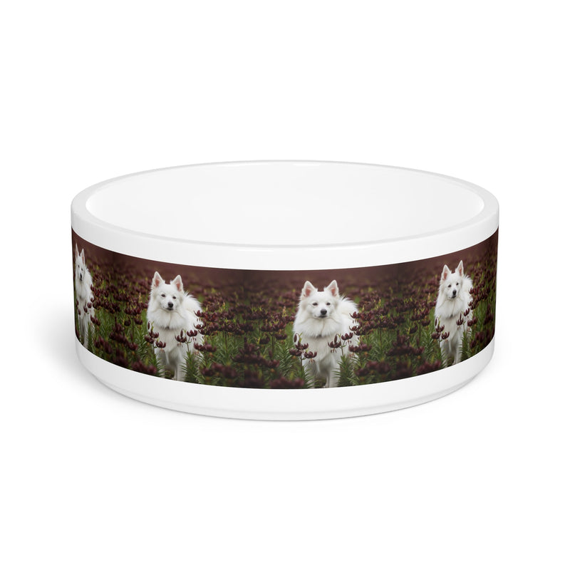American Eskimo Dog Pet Bowl