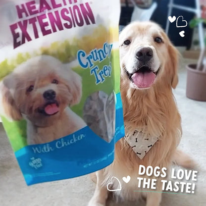 Chicken Dog Treats - Health Extension Heart Shaped 12oz 🐔