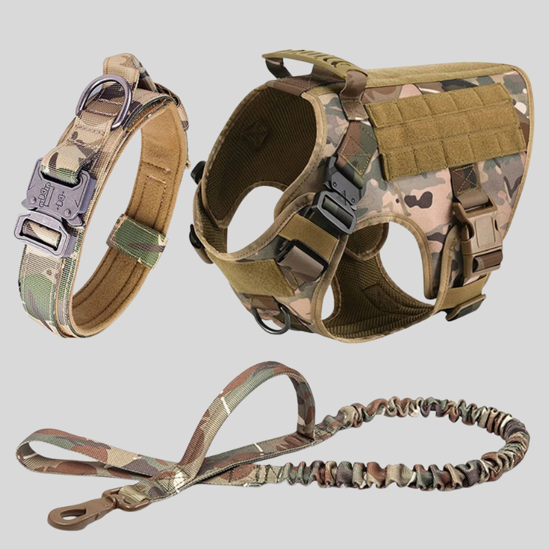 Large Dog Harness & Leash Set – Training Vest for Big Breeds - WTN Essentials