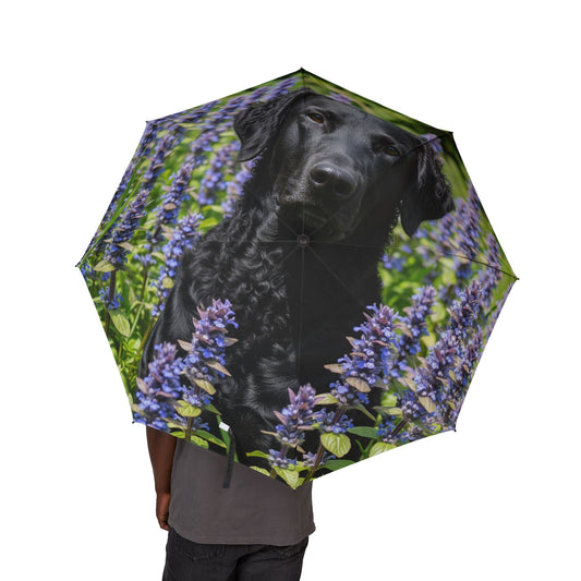 Curly Coated Retriever Semi-Automatic Foldable Umbrella