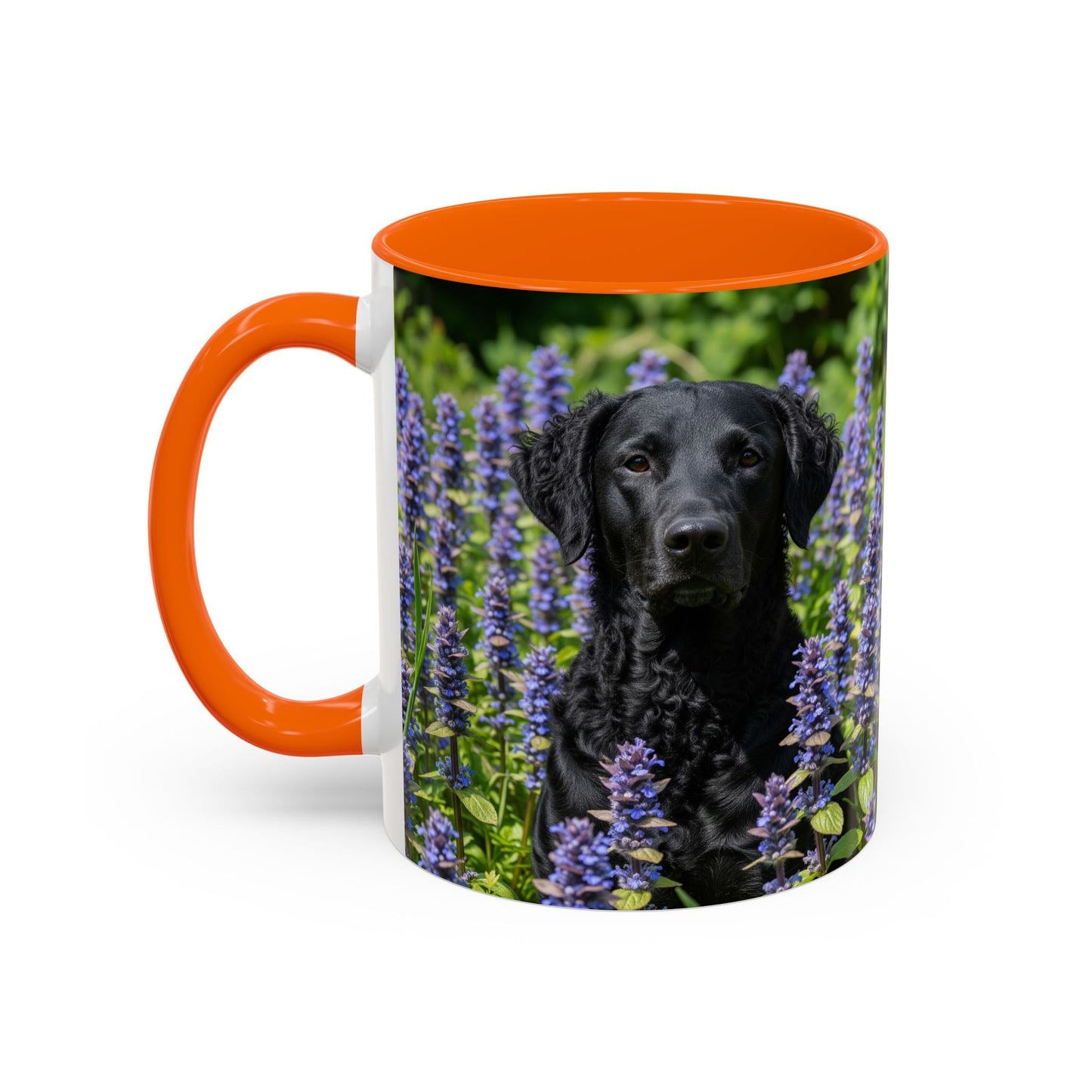Curly Coated Retriever Accent Coffee Mug - Perfect Gift for