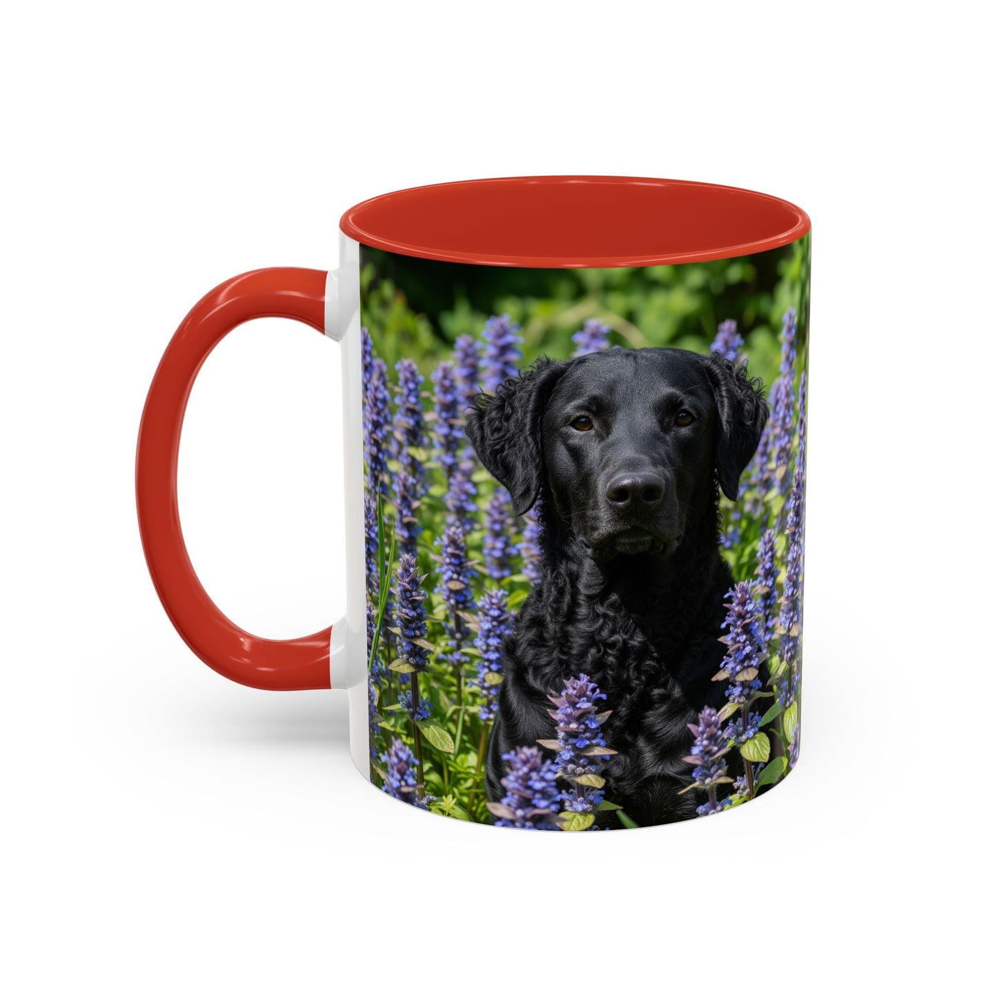 Curly Coated Retriever Accent Coffee Mug - Perfect Gift for