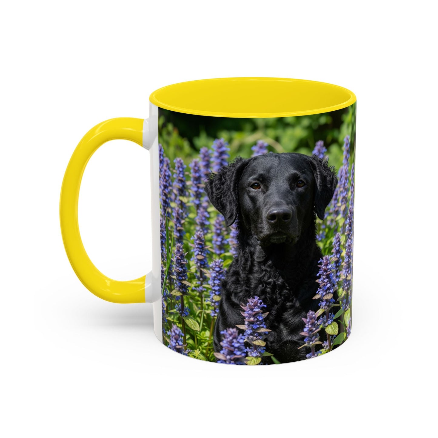 Curly Coated Retriever Accent Coffee Mug - Perfect Gift for
