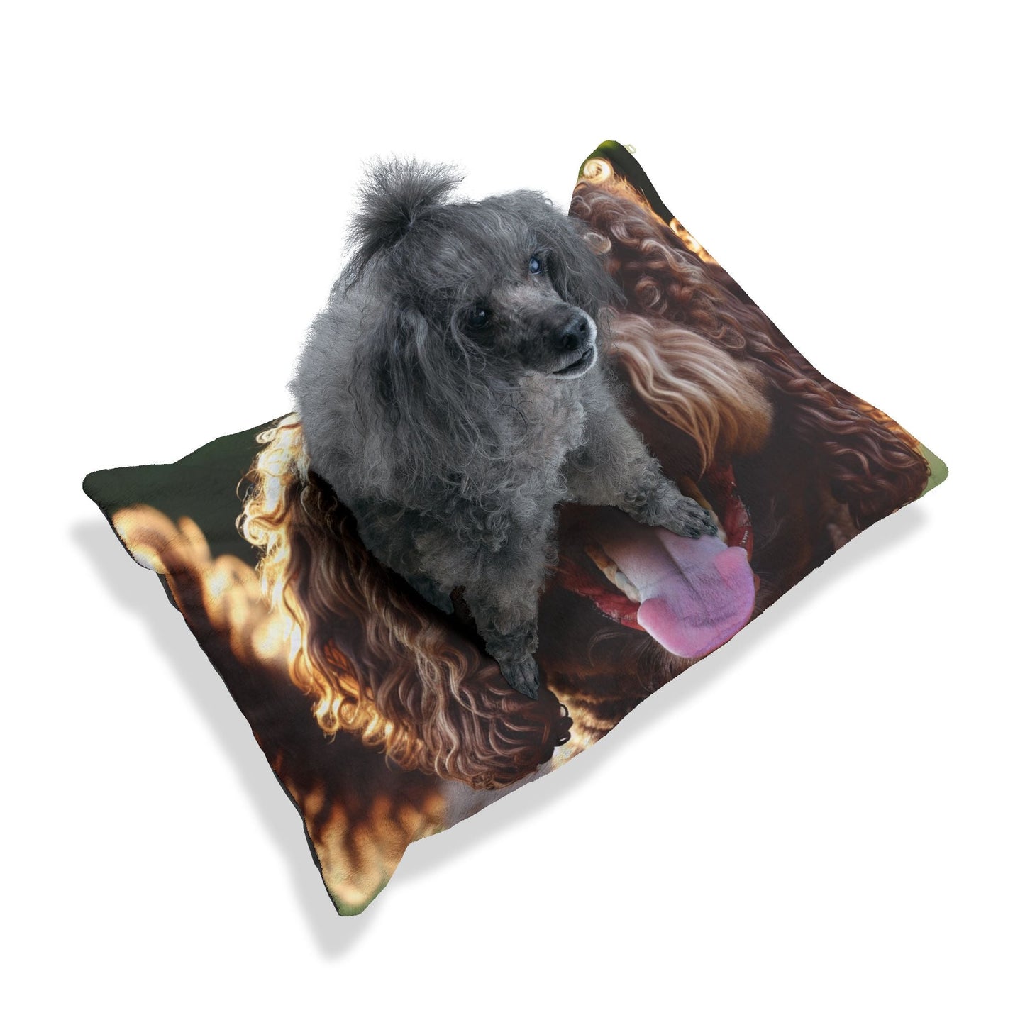 Curly Coated Retriever Pet Bed