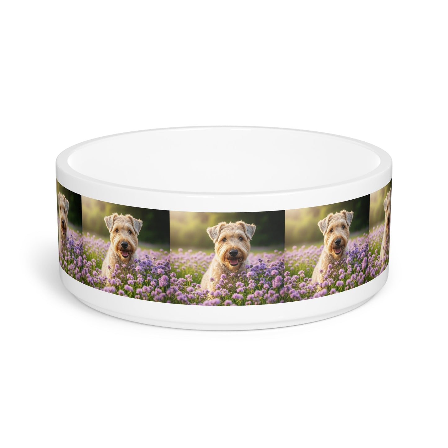 Soft Coated Wheaten Terrier Pet Bowl